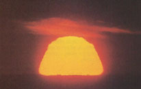 J. Hanson, blood orange, GT017
