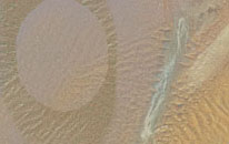 Mi Or And The Pedestals, EOS, GT028